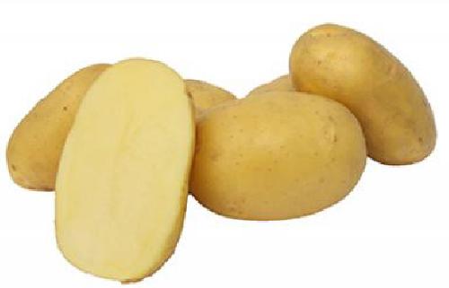 Burgonya sárga /kg