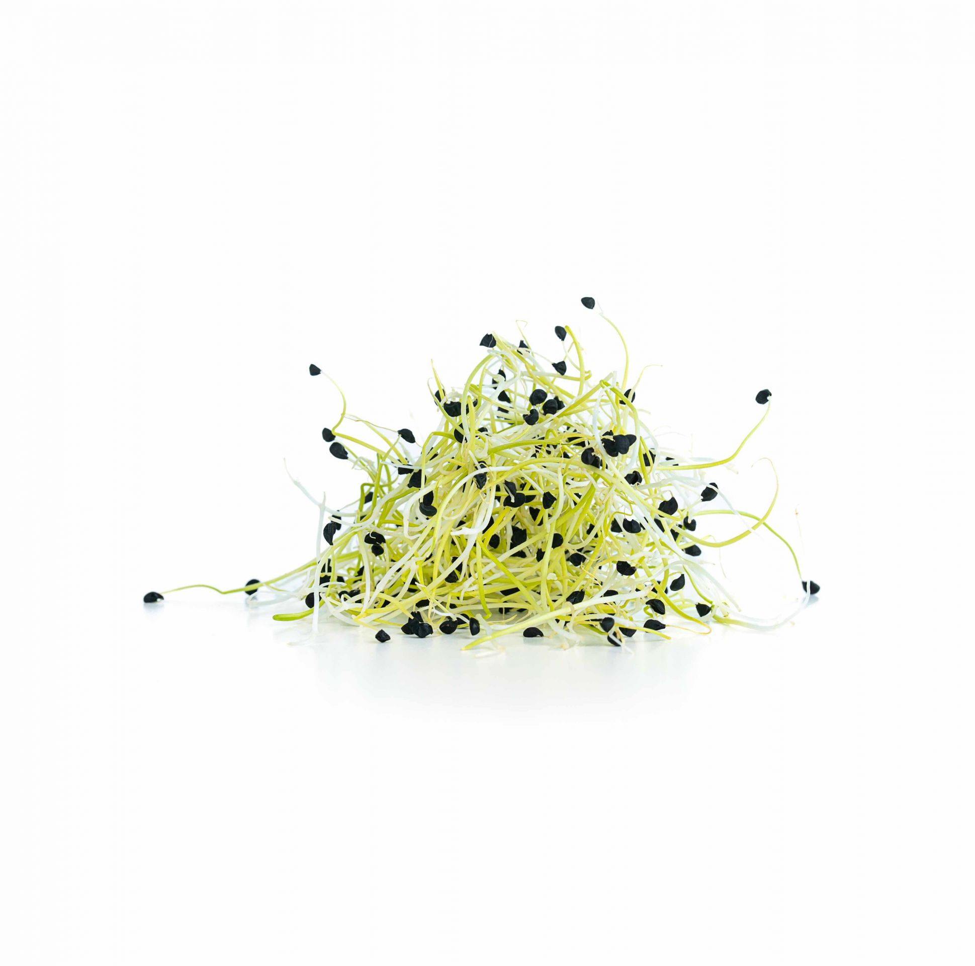 Csíra póréhagyma 50 g