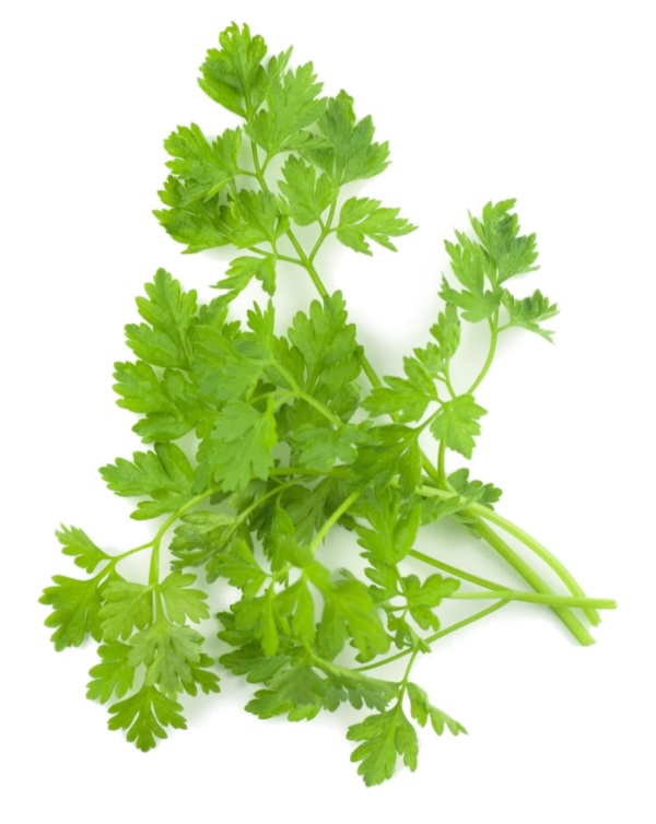 Turbolya /kg
