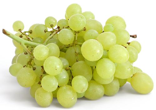 Szőlő fehér import /kg