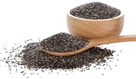 Healt Expert chia mag 1 kg
