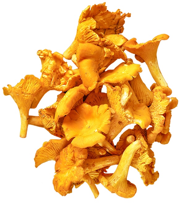 Gofit Zabpehelydara gluténmentes 2,5 kg KREL